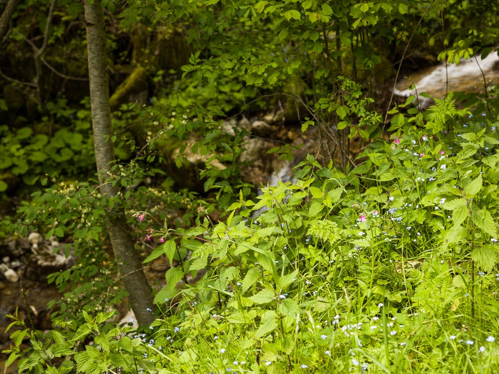 Mark-Blower-130604-Venice-Dolomites-0142