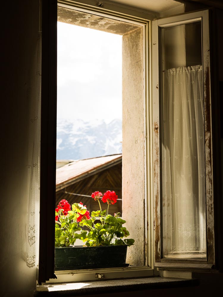 Mark-Blower-130604-Venice-Dolomites-0381