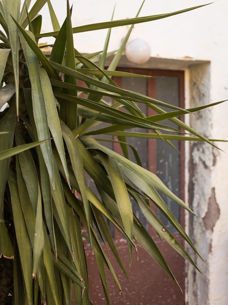 Mark-Blower-130808-Crete-0496